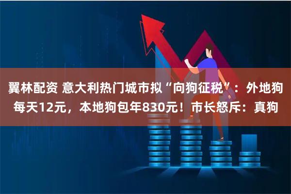 翼林配资 意大利热门城市拟“向狗征税”：外地狗每天12元，本地狗包年830元！市长怒斥：真狗