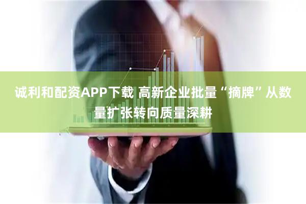 诚利和配资APP下载 高新企业批量“摘牌”从数量扩张转向质量深耕